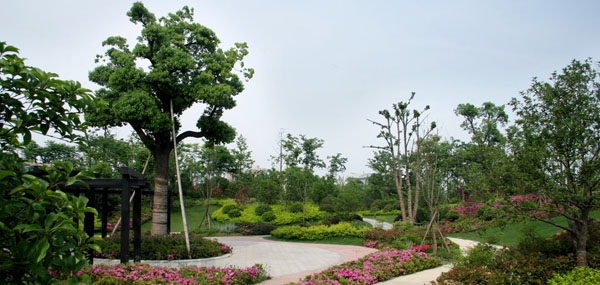 蘇州北橋鄉(xiāng)情苑循環(huán)水系生態(tài)治理