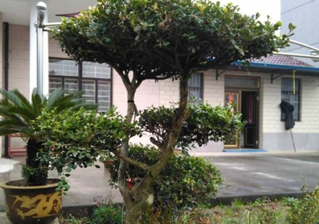 蘇州高新區(qū)科技大廈景觀