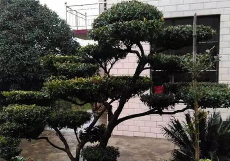 蘇州陽(yáng)澄湖萬(wàn)畝漁業(yè)養(yǎng)殖水體循環(huán)規(guī)劃